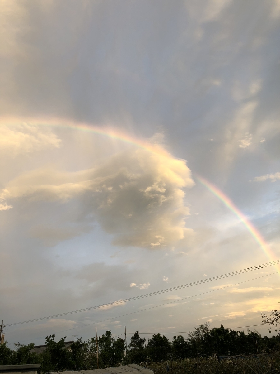 f:id:Kikouson:20190816083455j:plain f:id:Kikouson:20190816083455j:plain