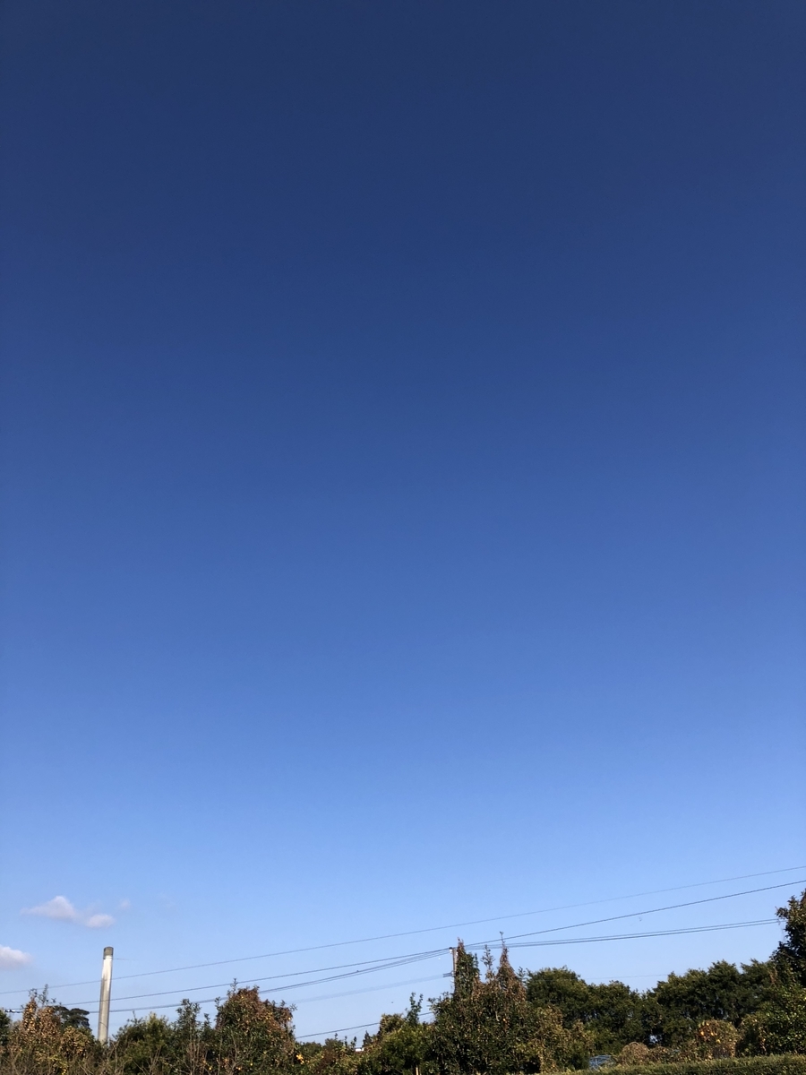 f:id:Kikouson:20200102114752j:plain f:id:Kikouson:20200102114752j:plain
