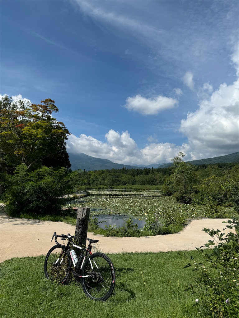 f:id:Kilalin:20240831162637j:image f:id:Kilalin:20240831162637j:image