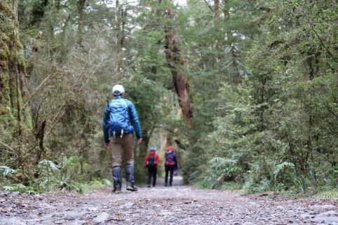 f:id:KimAiZero:20200609115249j:plain:w200:left