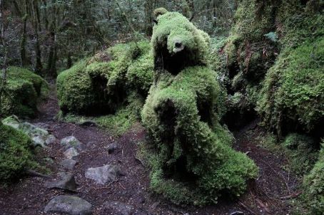 f:id:KimAiZero:20200609115725j:plain:w150:right