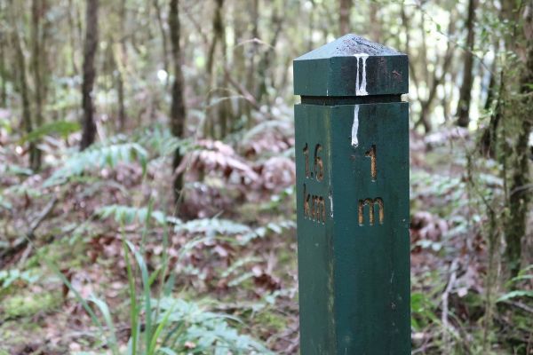 f:id:KimAiZero:20200609120437j:plain:w160:left