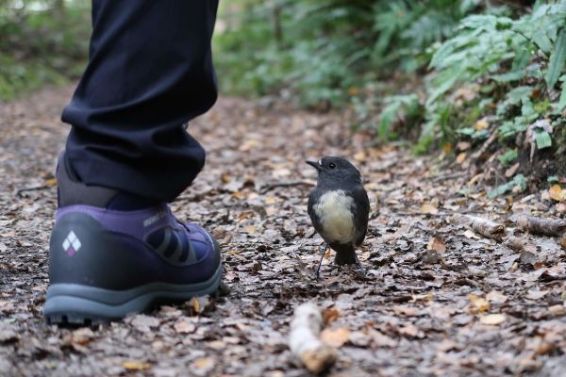 f:id:KimAiZero:20200609120440j:plain:w160:left