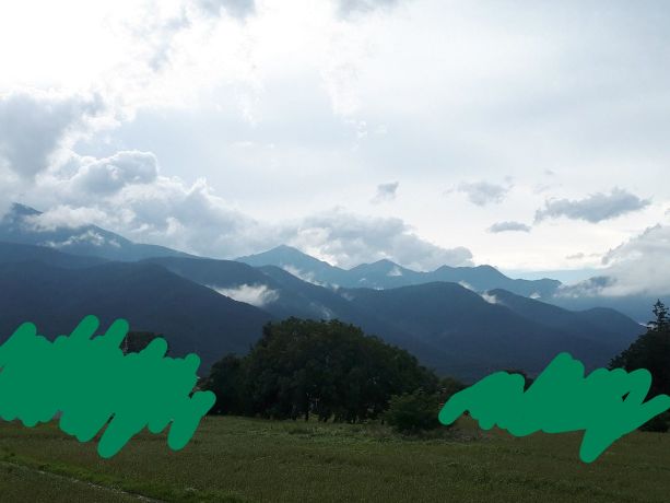 f:id:KimAiZero:20200725103326j:plain:w150:left