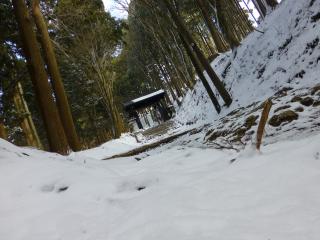 f:id:KimAiZero:20201030133524j:plain:w150:left