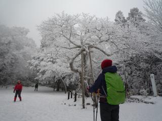 f:id:KimAiZero:20201030140325j:plain:w150:left