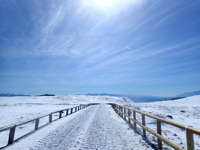 f:id:KimAiZero:20210210222925j:plain