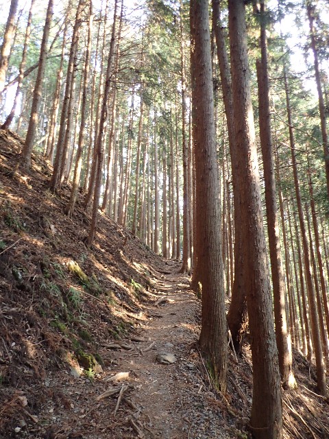 f:id:KimAiZero:20210329080311j:plain