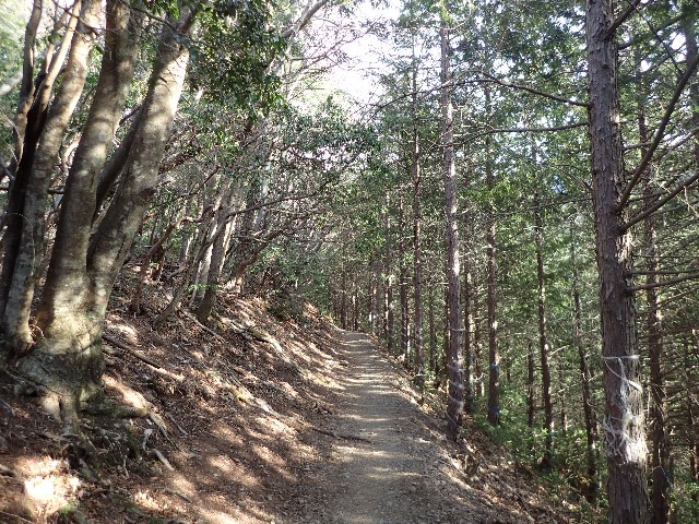 f:id:KimAiZero:20210329080649j:plain