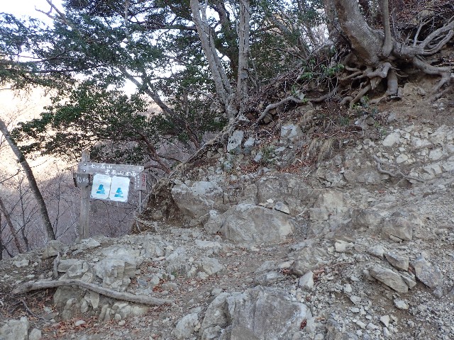 f:id:KimAiZero:20210329080750j:plain