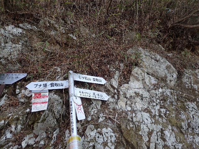 f:id:KimAiZero:20210329081447j:plain