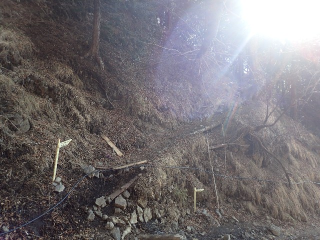 f:id:KimAiZero:20210329082452j:plain