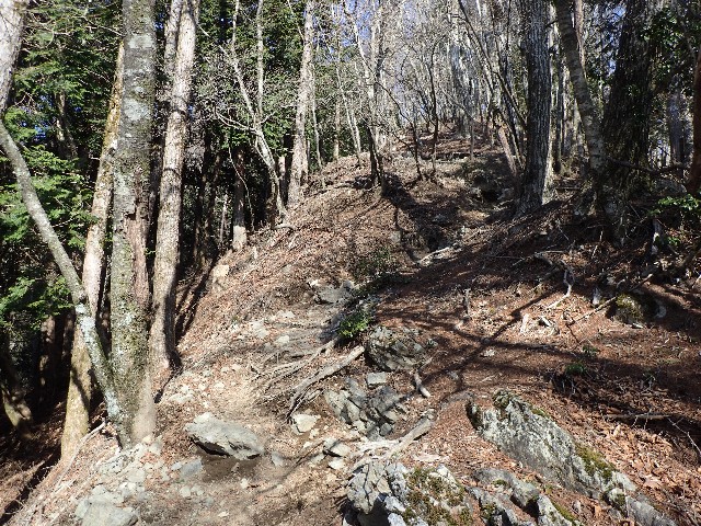 f:id:KimAiZero:20210329082826j:plain