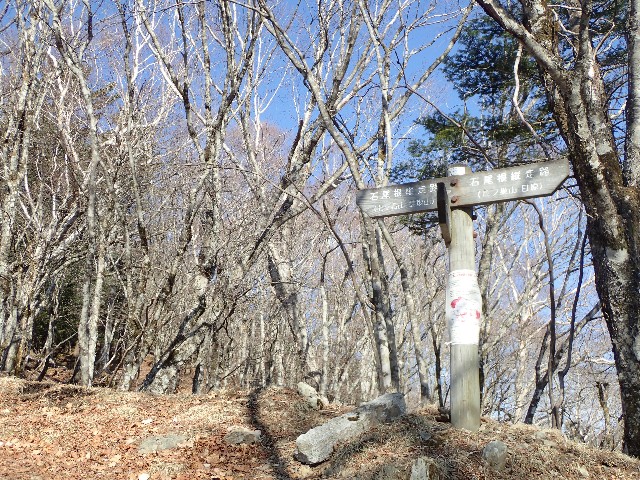 f:id:KimAiZero:20210329083154j:plain