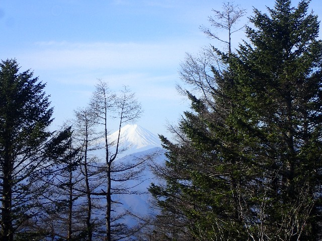 f:id:KimAiZero:20210329083716j:plain