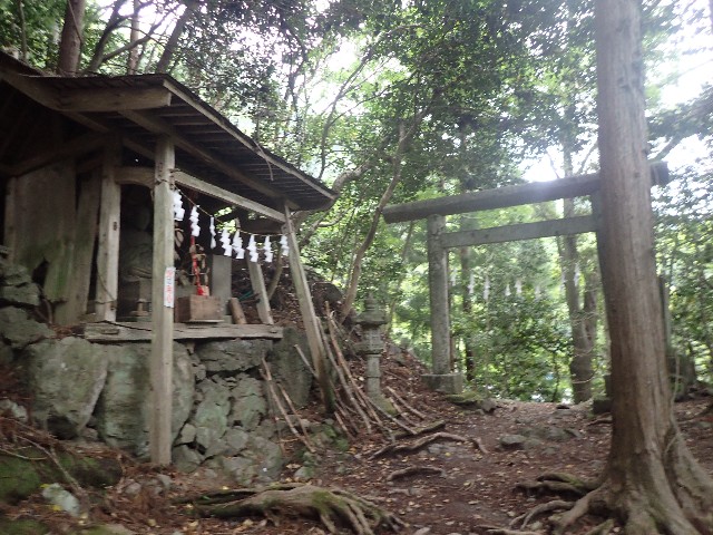 f:id:KimAiZero:20210606085409j:plain