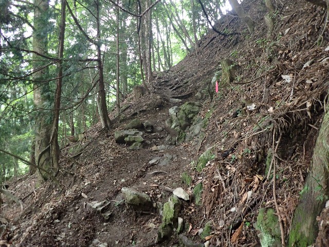 f:id:KimAiZero:20210606085526j:plain