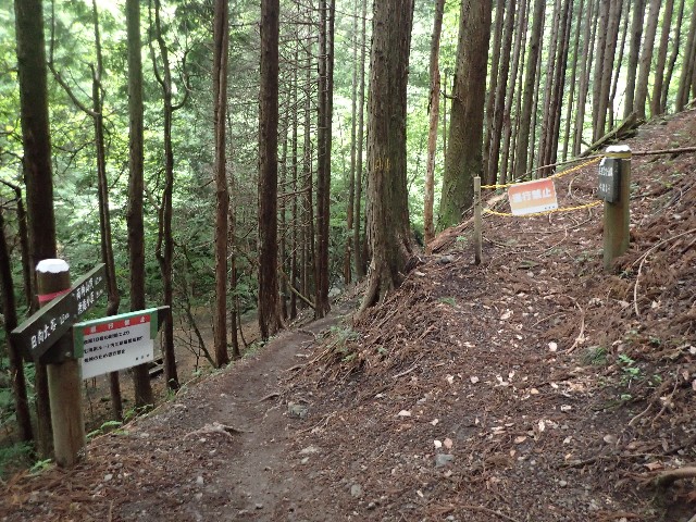 f:id:KimAiZero:20210606085719j:plain