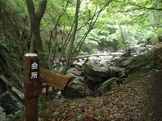 f:id:KimAiZero:20210606085833j:plain