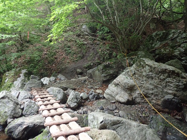 f:id:KimAiZero:20210606090134j:plain