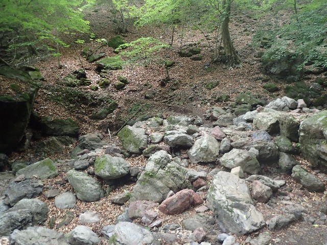 f:id:KimAiZero:20210606090345j:plain