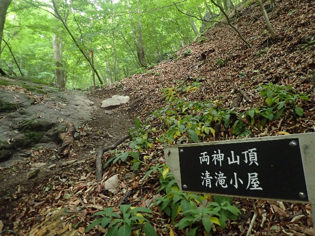 f:id:KimAiZero:20210606090503j:plain