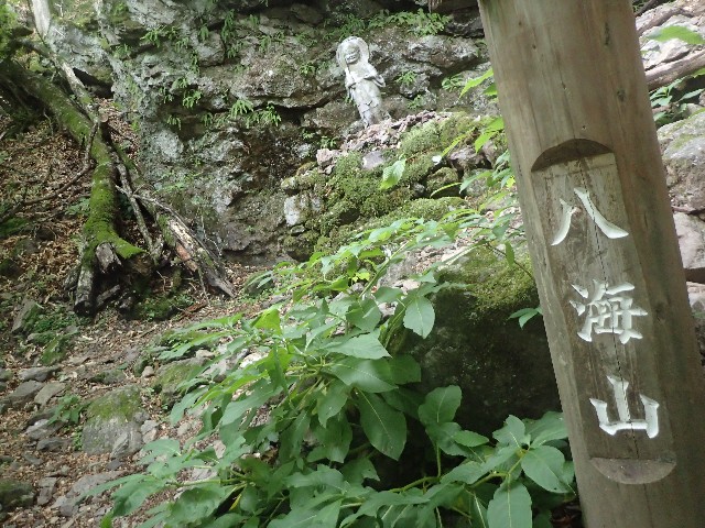 f:id:KimAiZero:20210606090839j:plain