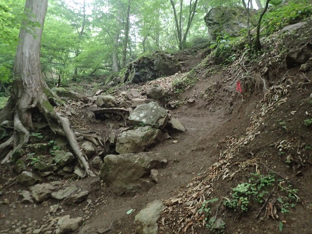 f:id:KimAiZero:20210606091508j:plain