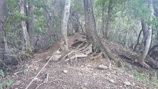 f:id:KimAiZero:20210923155551j:plain