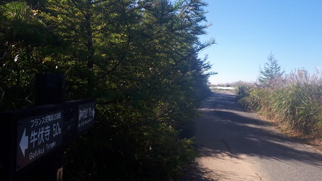 f:id:KimAiZero:20210923160714j:plain