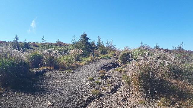 f:id:KimAiZero:20210923161406j:plain