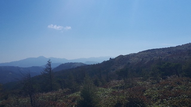 f:id:KimAiZero:20210923163407j:plain