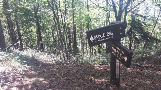 f:id:KimAiZero:20210923164053j:plain