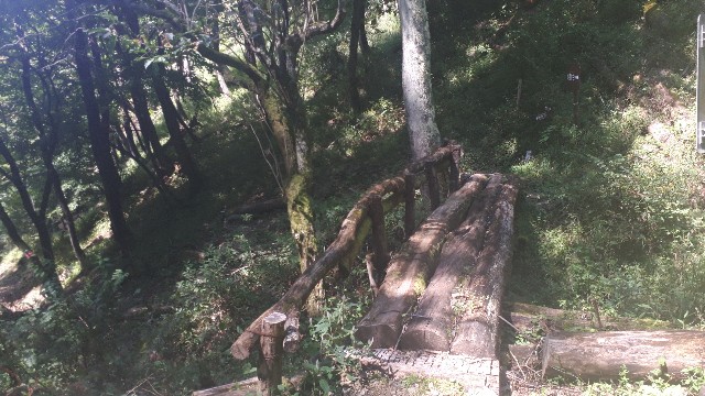 f:id:KimAiZero:20210923164330j:plain