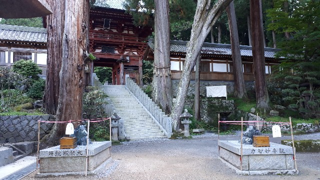 f:id:KimAiZero:20210923164645j:plain