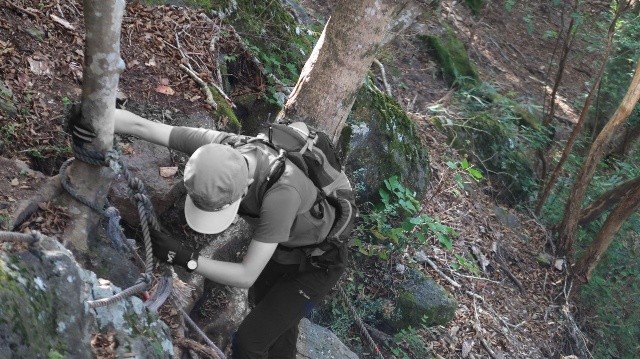 f:id:KimAiZero:20211025172320j:plain