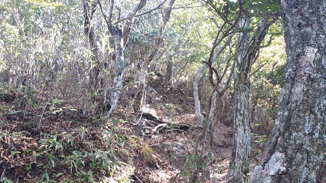 f:id:KimAiZero:20211025222801j:plain