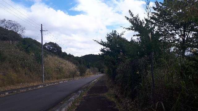 f:id:KimAiZero:20211027072152j:plain