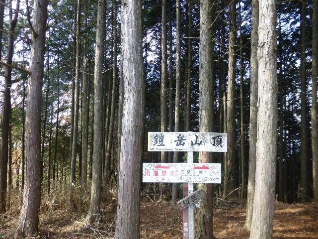 f:id:KimAiZero:20211123215746j:plain