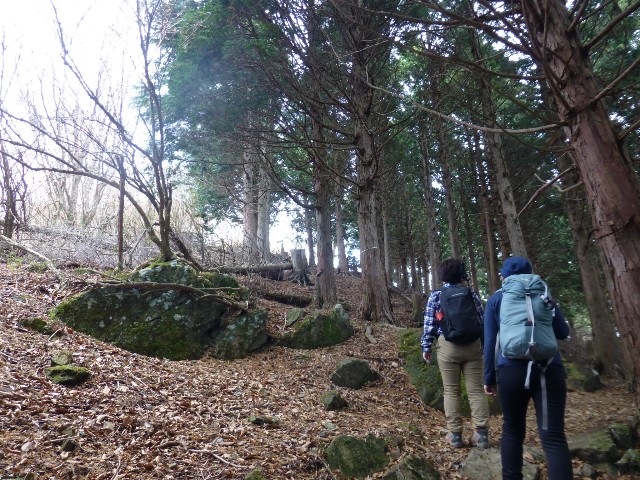 f:id:KimAiZero:20211203215135j:plain