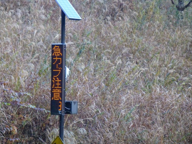 f:id:KimAiZero:20211203221223j:plain