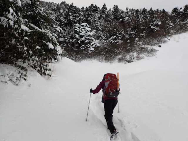 f:id:KimAiZero:20211227170946j:plain