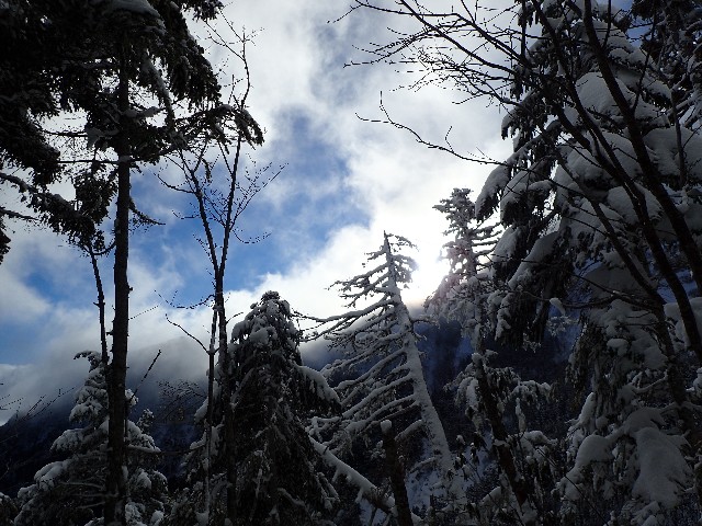 f:id:KimAiZero:20211227171337j:plain