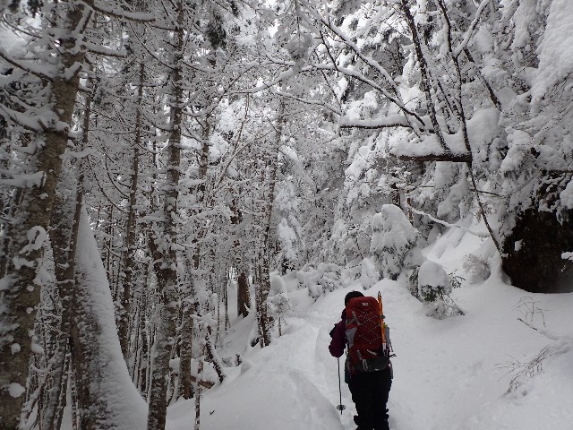 f:id:KimAiZero:20211227171605j:plain