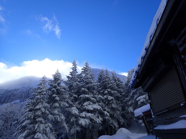 f:id:KimAiZero:20211227171745j:plain