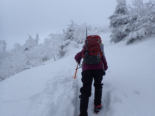 f:id:KimAiZero:20211227180459j:plain