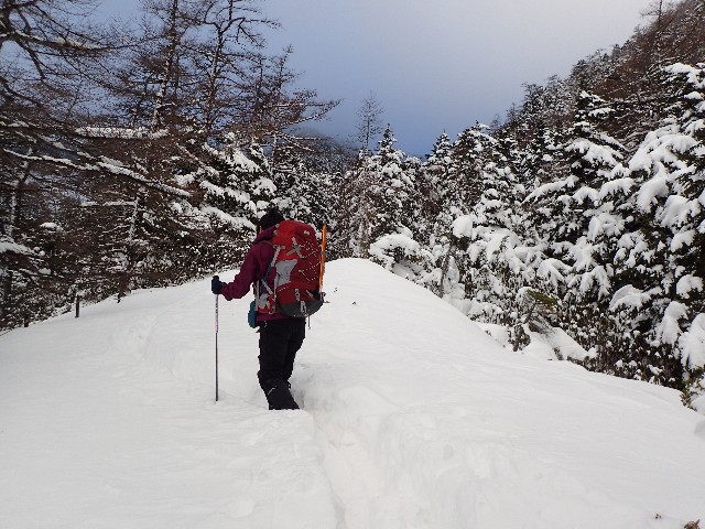 f:id:KimAiZero:20211227180844j:plain