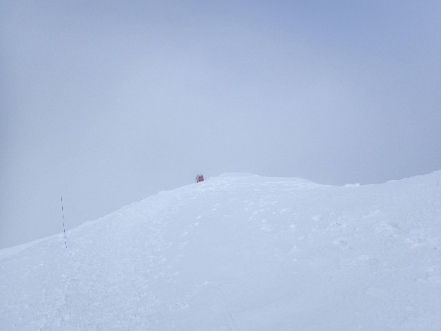 f:id:KimAiZero:20220308064154j:plain