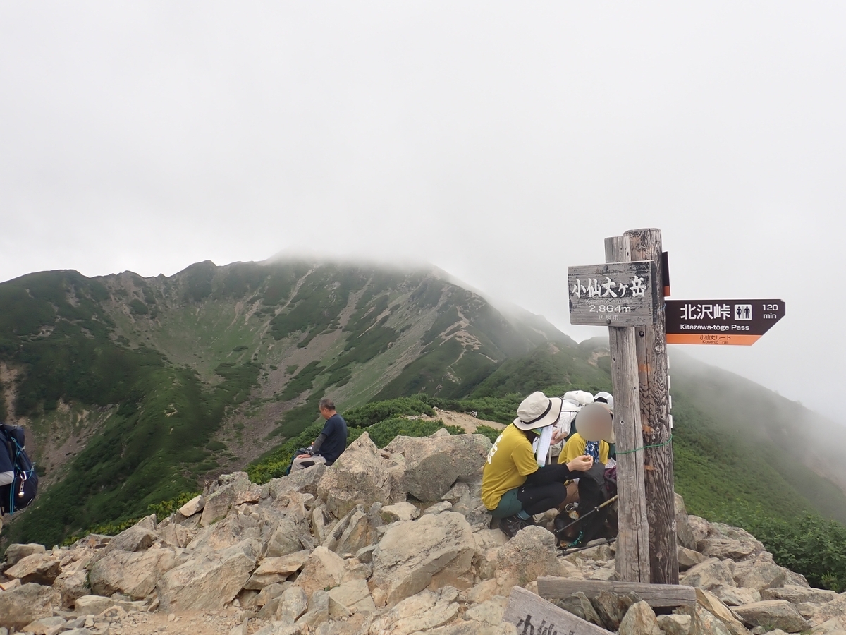 仙丈ヶ岳（7月）｜北沢峠ピストン：意外と急登。雷鳥親子と高山植物
