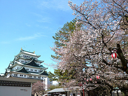 f:id:Kimono:20100326123801j:image